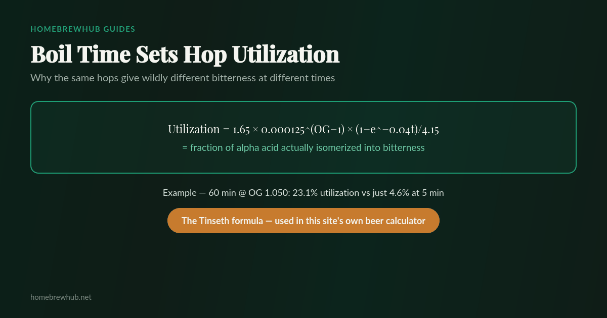 Tinseth hop utilization formula showing the relationship between boil time, gravity, and utilization percentage