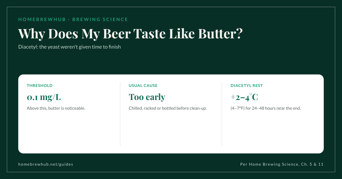 Diacetyl in beer: buttery flavor, sensory threshold 0.1 mg/L, cause is packaging too early, fix is a diacetyl rest 2–4°C (4–7°F) warmer for 24–48 hours
