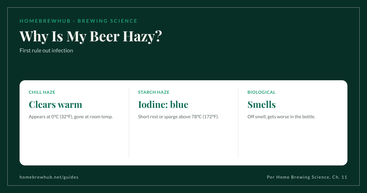 Beer haze types: chill haze clears when warm, starch haze shows blue with iodine, biological haze smells and worsens; sparge water above 78°C (172°F) causes starch haze