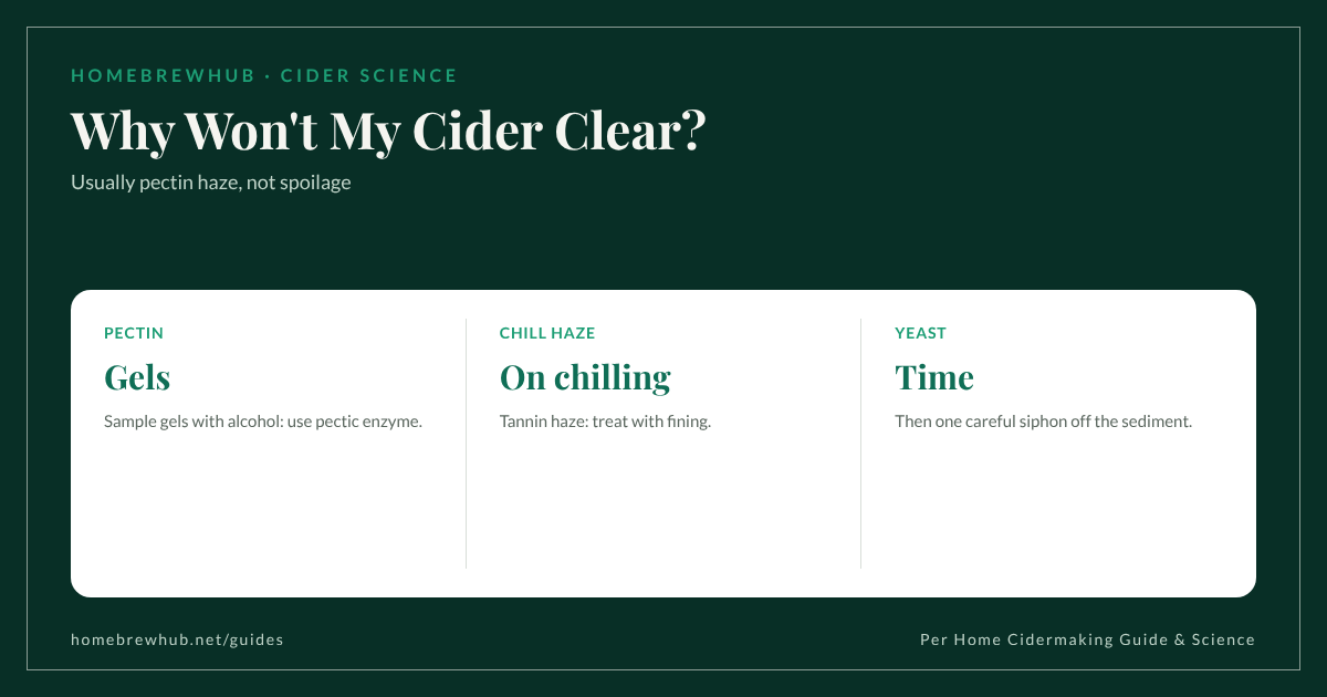 Cider haze: pectin haze forms a gel with alcohol and clears with pectic enzyme; chill haze appears on chilling; microbial haze needs a microscope