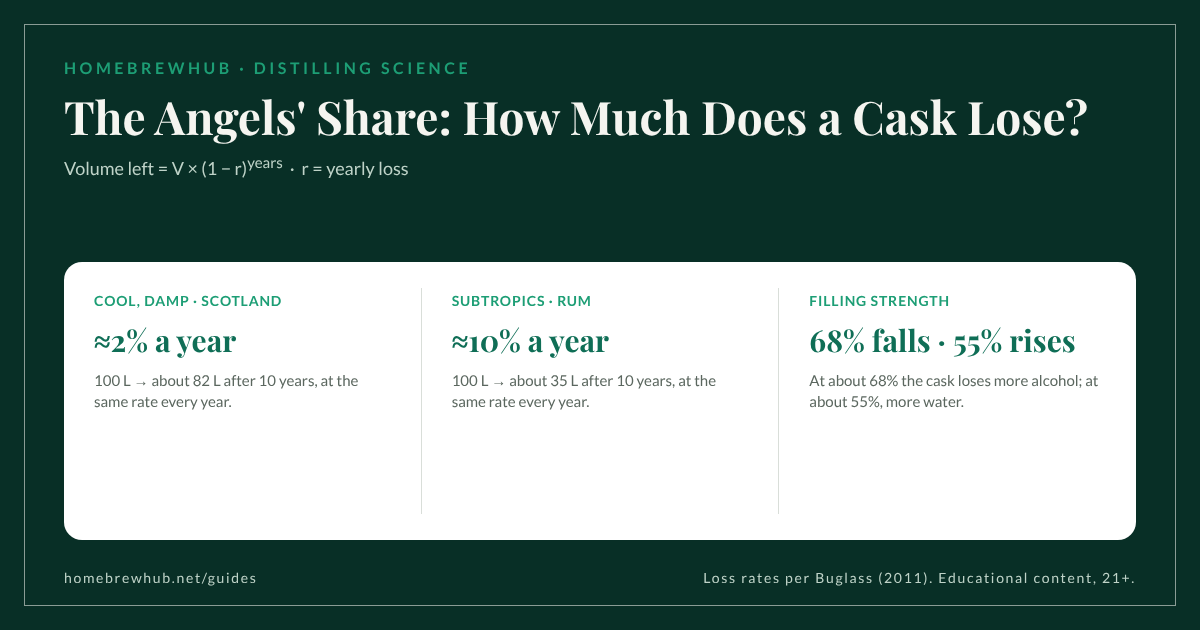 Angels' share: about 2% a year in Scotland, about 10% a year in the subtropics; at 68% strength falls, at 55% it rises