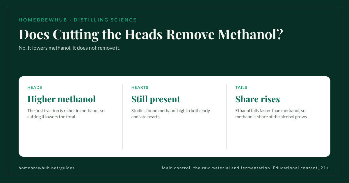 Methanol in heads, hearts and tails: higher in the heads, still present in the hearts, rising share in the tails