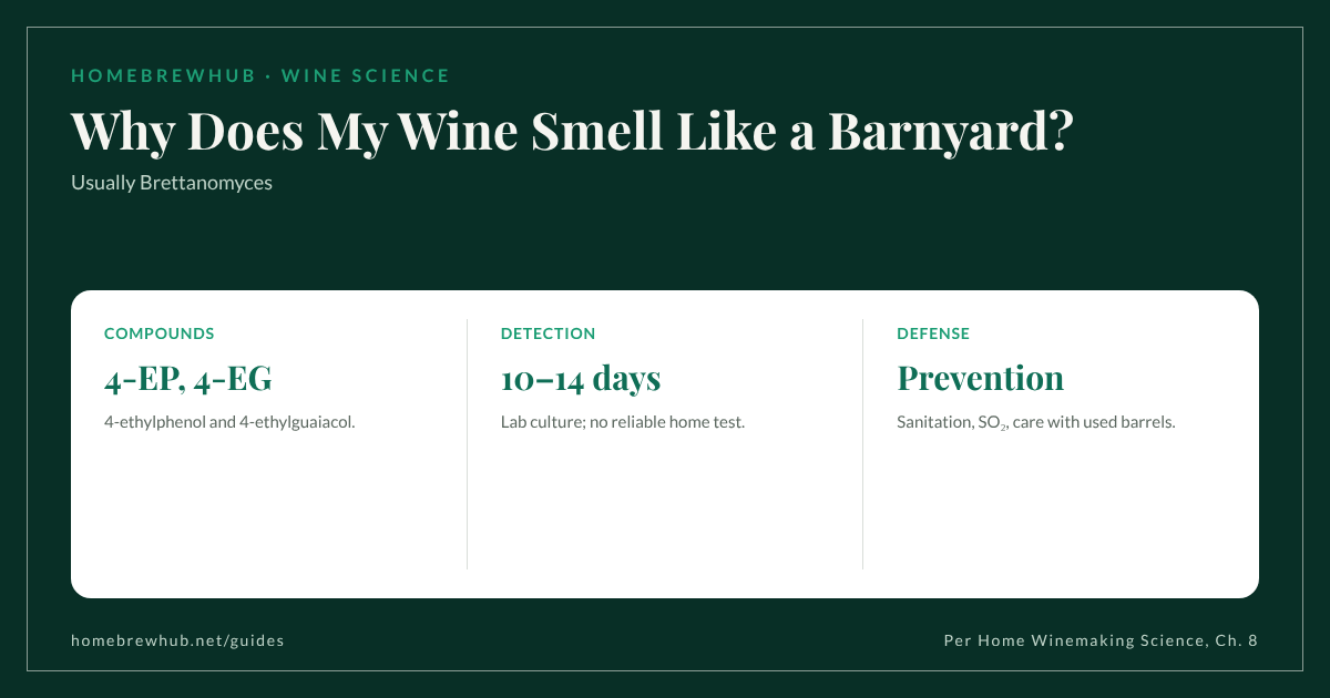 Brettanomyces in wine: barnyard, horsey, sweaty notes from 4-ethylphenol; prevention by sanitation, SO2 and care with used oak barrels